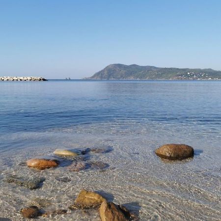 Havre De Paix A 2 Pas De L'Eau, Autonomie Daire Saint-Mandrier-sur-Mer Dış mekan fotoğraf