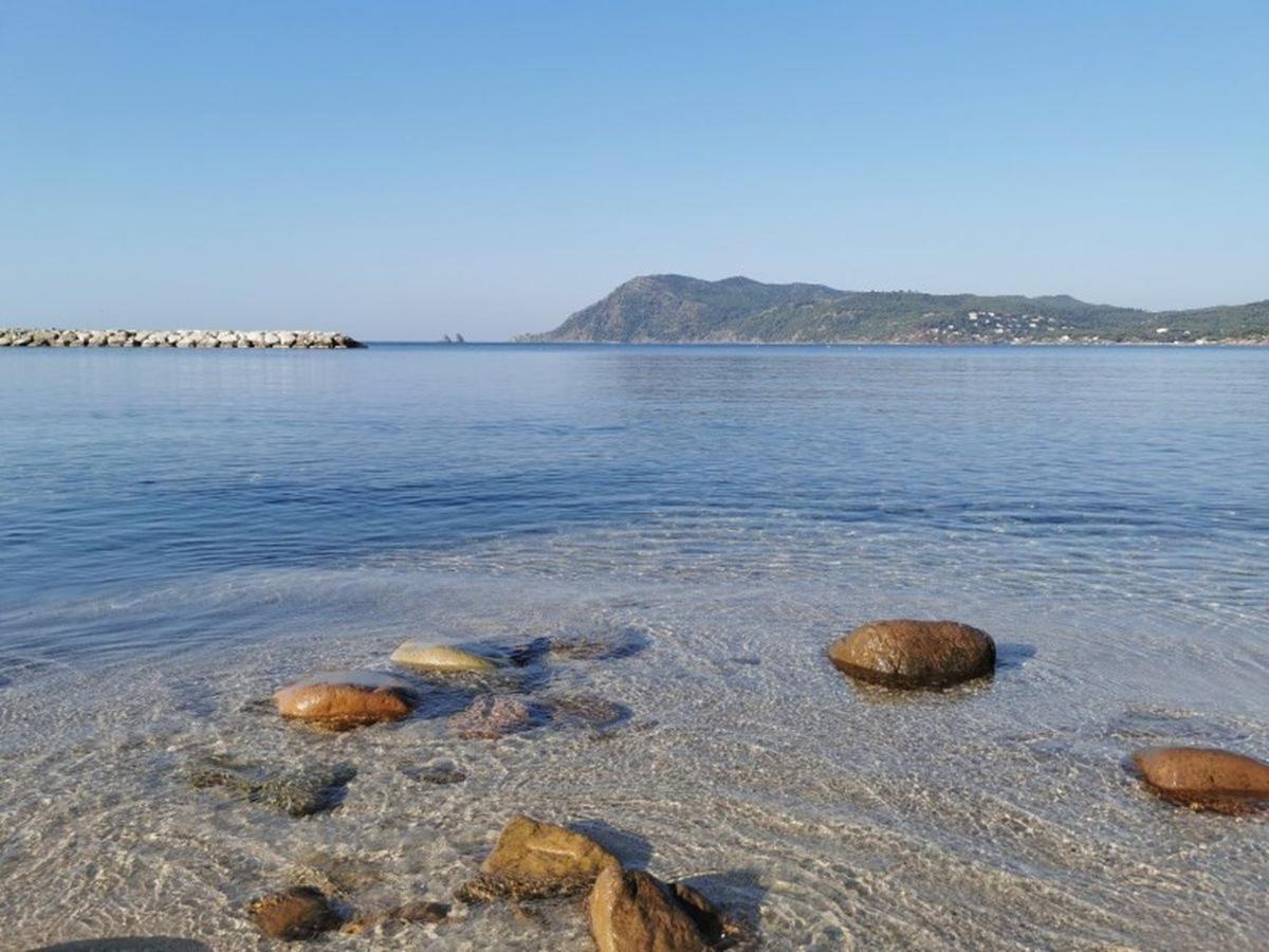 Havre De Paix A 2 Pas De L'Eau, Autonomie Daire Saint-Mandrier-sur-Mer Dış mekan fotoğraf